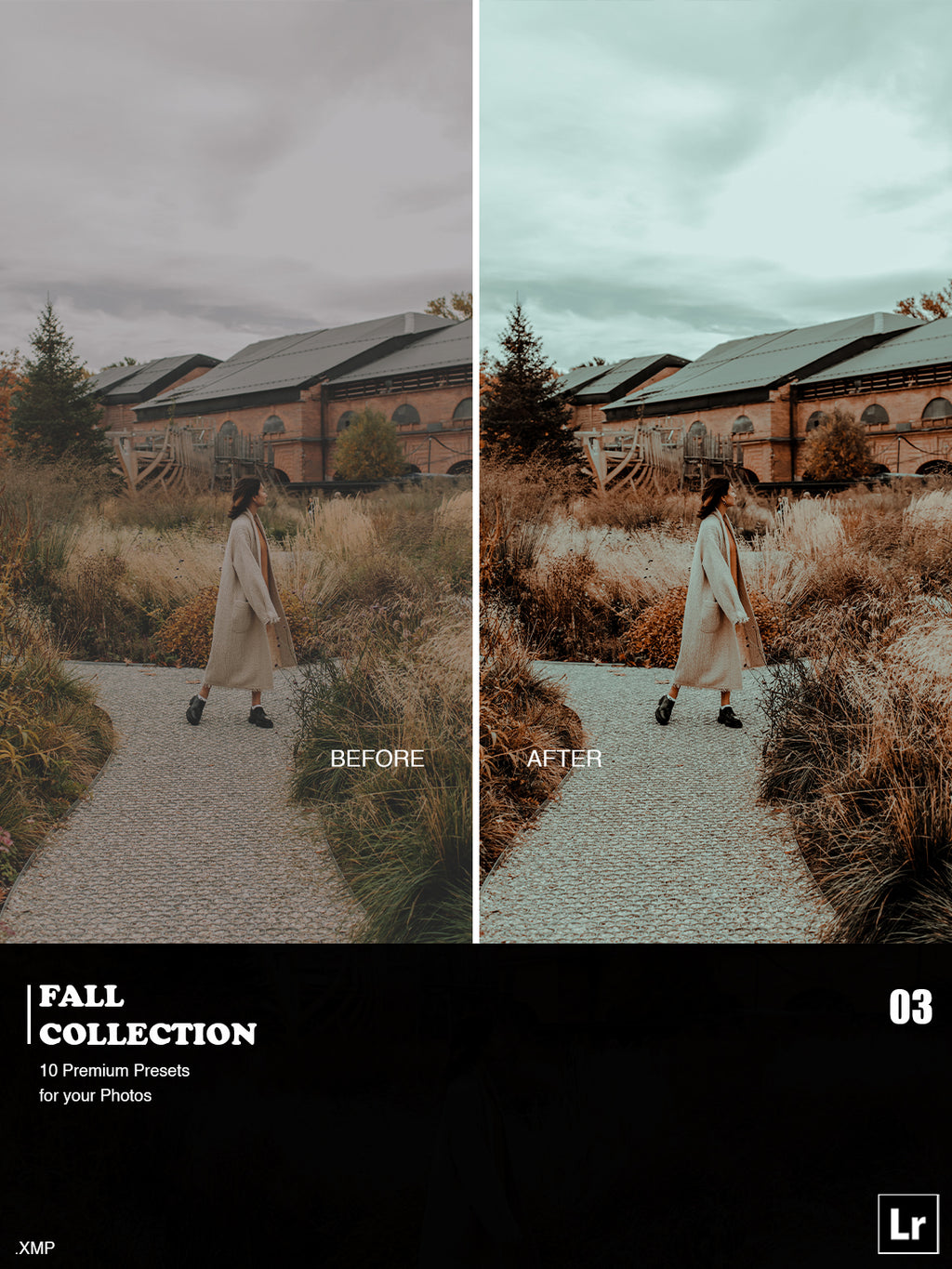 ✨ Fall Collection