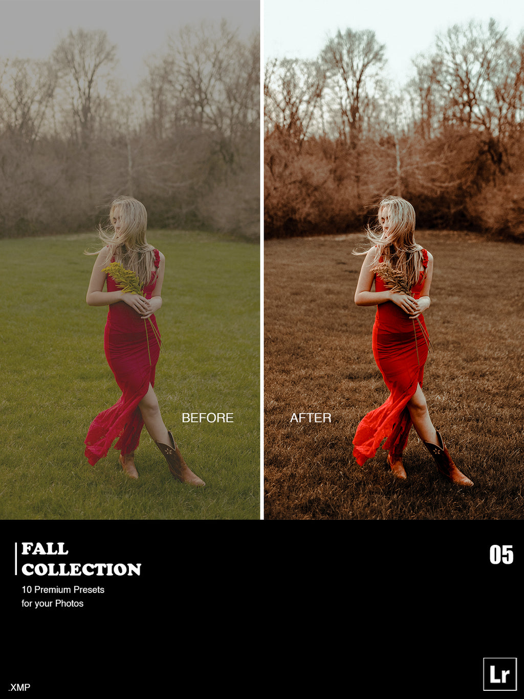 ✨ Fall Collection