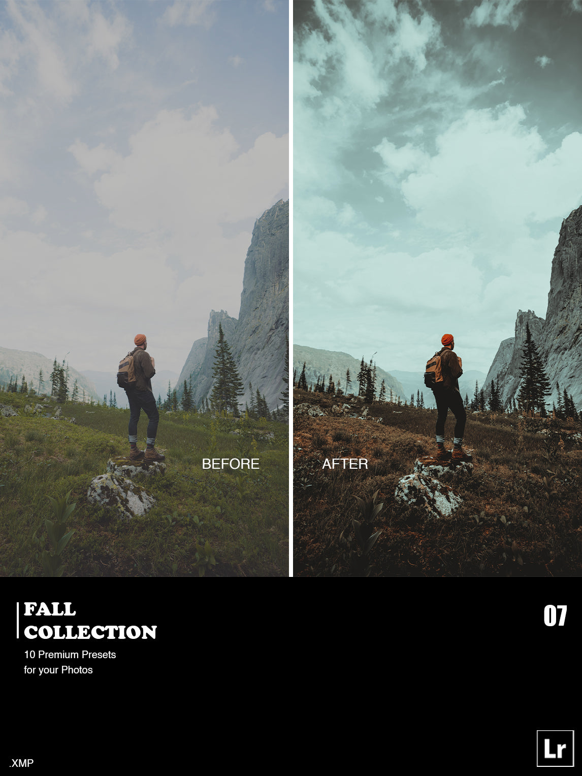 ✨ Fall Collection