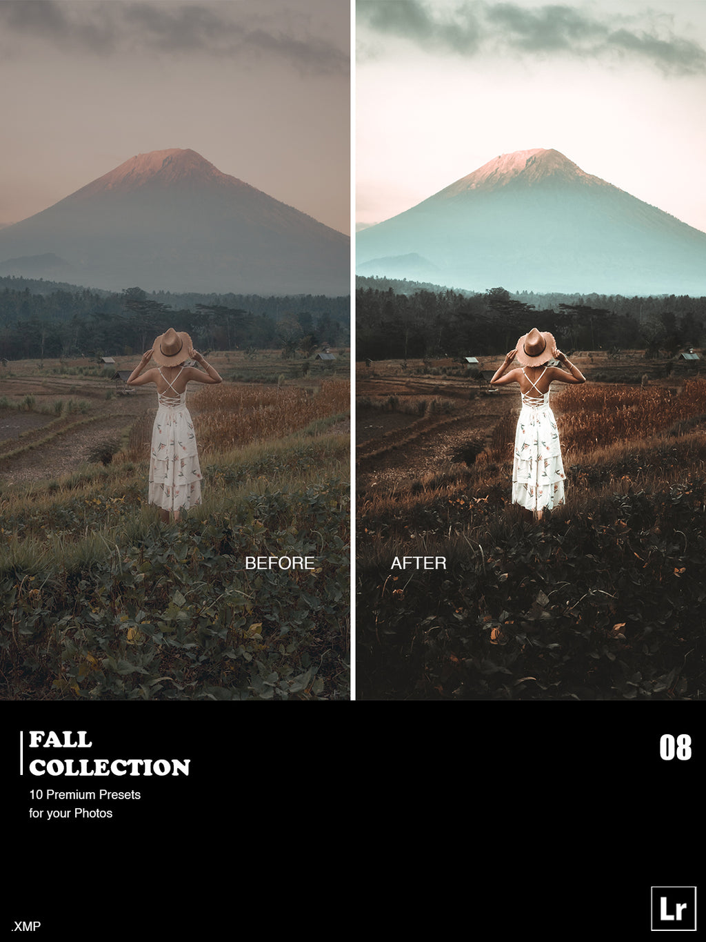 ✨ Fall Collection